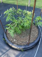 IMG_3406.jpeg