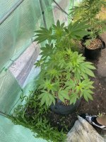 IMG_3897.jpeg