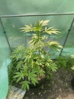 IMG_3936.jpeg