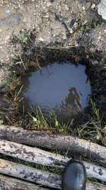 IMG_1635.jpeg