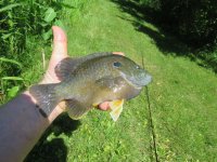 IMG_4793.JPG