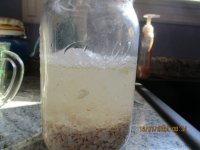 005 vinagar making CO2.JPG