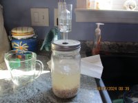 008 vinagar making CO2.JPG
