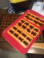 IMG_2757.jpeg