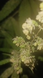 20240925_223457.jpg 20240925_223457.jpg