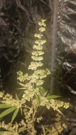 20240925_195641.jpg 20240925_195641.jpg