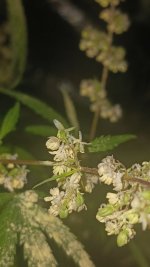 20240925_195626.jpg 20240925_195626.jpg