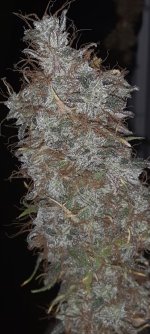 20230401_224339~2.jpg 20230401_224339~2.jpg