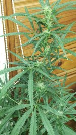 20240929_144703.jpg 20240929_144703.jpg