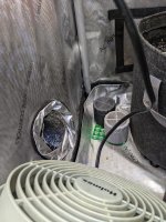 PXL_20241006_005852554.RAW-01.COVER.jpg