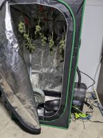 PXL_20241024_050902227.RAW-01.COVER.jpg