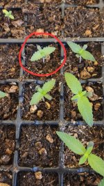 20241031_102551.jpg 20241031_102551.jpg