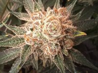 20241029_213038.jpg 20241029_213038.jpg