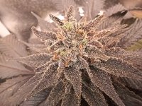 20241029_213114.jpg 20241029_213114.jpg