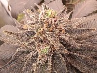 20241026_230702.jpg 20241026_230702.jpg