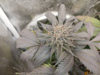 20241026_230647.jpg 20241026_230647.jpg