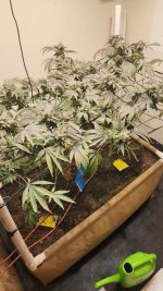 20241105_042855.jpg 20241105_042855.jpg