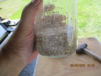 9 3 2024 020 crushed and ready for 5% acidic vinegar.JPG