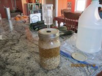 9 3 2024 023 carboy added.JPG