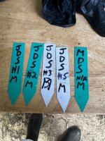 IMG_0214.jpeg