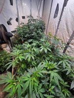 IMG_0457.jpeg