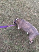 IMG_0476.jpeg