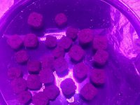 20250106_105057.jpg