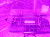 20250106_105000.jpg