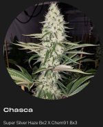 Screenshot_20250111_220634_Chrome.jpg