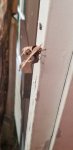 20200829_072930.jpg