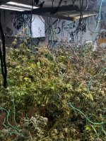 IMG_0753.jpeg