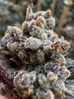 IMG_1730.jpeg