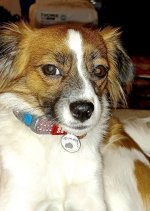 20250310_001648.jpg