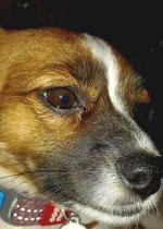 20250310_001654.jpg