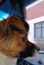 20250310_142059.jpg
