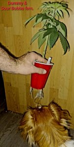 20250310_202437.jpg