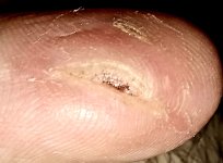 20250311_123654.jpg