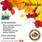 Northern Leaf Restock - posted.jpg