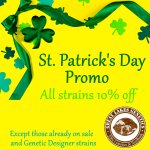 St Patricks Promo.jpg