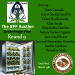 BFF Auction Round 9 - posted.jpg