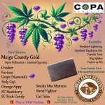 Copa New Drop - posted.jpg