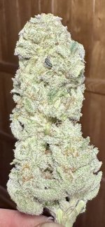 IMG_0248.jpeg