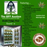 BFF Auction Round 12 - posted.jpg