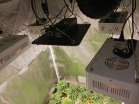 20250408_081414.jpg