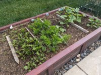 1000006521.jpg 1000006521.jpg