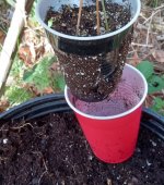 autopot2.jpg