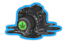 blue amera.png blue amera.png