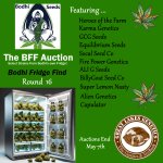 BFF Auction round 16.jpg