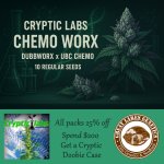 Cryptic Labs Drop.jpg