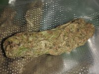 IMG_20250509_025342620.jpg IMG_20250509_025342620.jpg